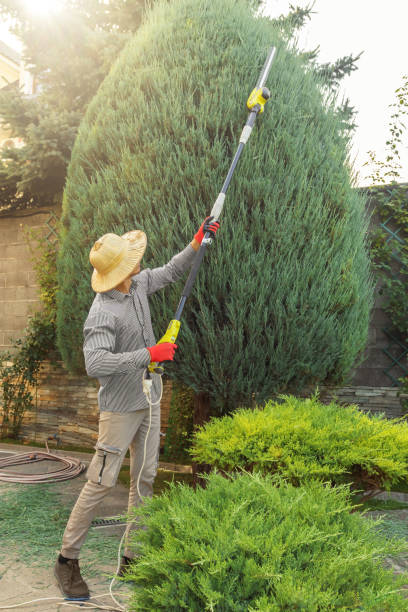 East Spencer, NC Tree Removal Company